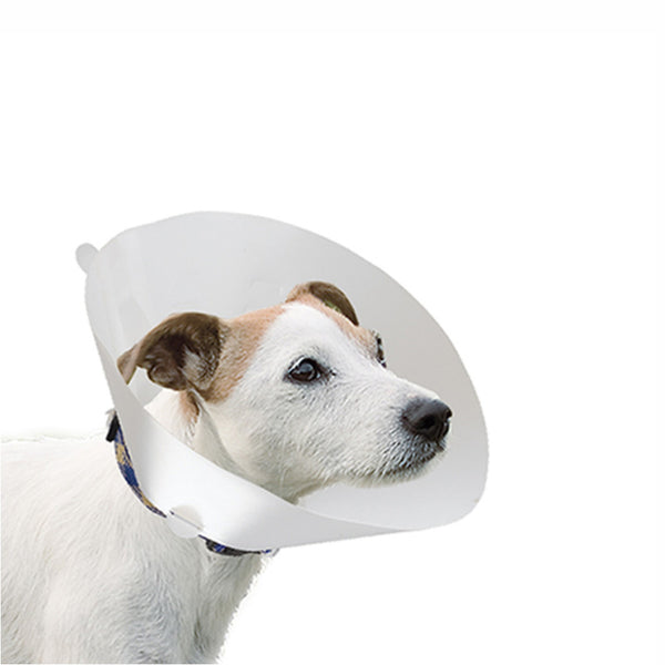 Collar Isabelino Gro 6004