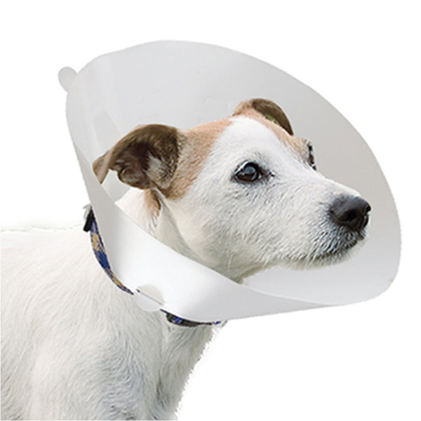 Collar Isabelino Gro 6008