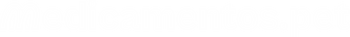 medicamentos.pet
