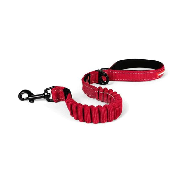 Correa Elastica | Accesorios | Medicamentos pet