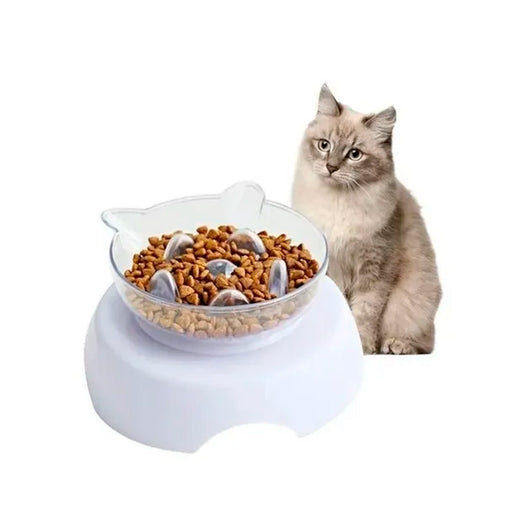 Comedero Antirreflujo para Gato | Accesorios | Medicamentos pet