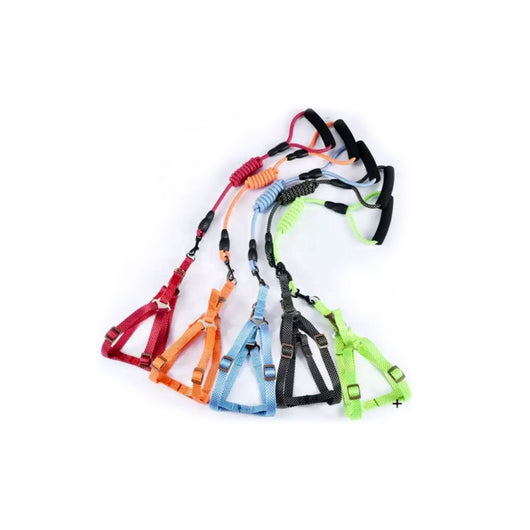 Correa Pechera Mascotas 120 Cm | Accesorios | Medicamentos pet