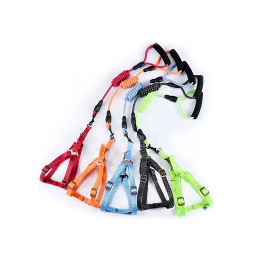 Correa Pechera 120 Cm | Accesorios | Medicamentos pet