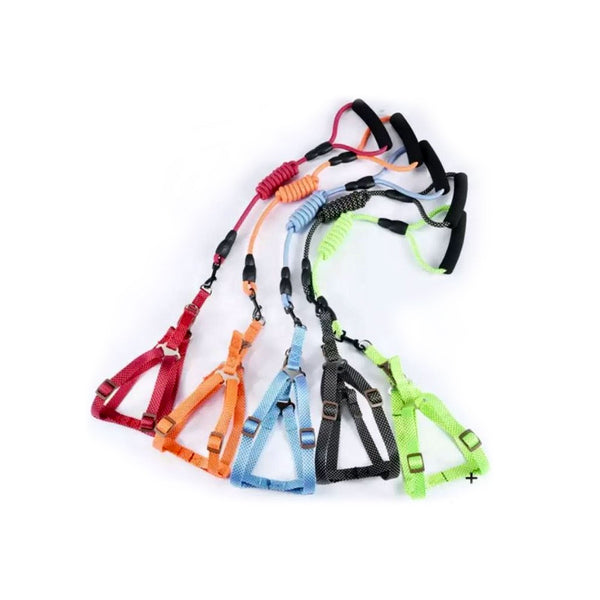 Correa Pechera 120 Cm | Accesorios | Medicamentos pet