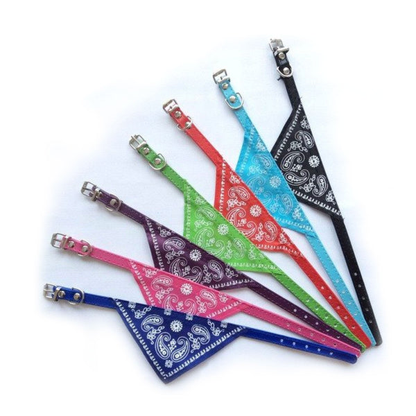 Collar Con Pañoleta Para Mascotas | Accesorios | Medicamentos pet