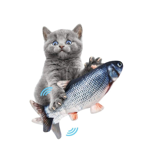 Pez Saltarín | Accesorios Gatos | Medicamentos pet