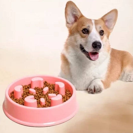 Comedero Antirreflujo multicolor | Accesorios | Medicamentos pet