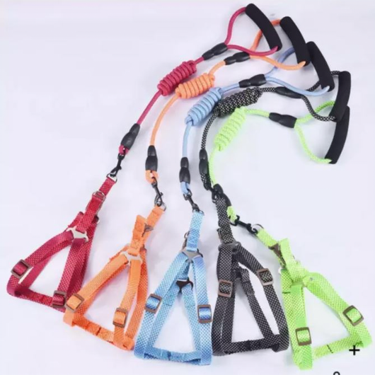 Correa Pechera Perro | Accesorios | Medicamentos pet