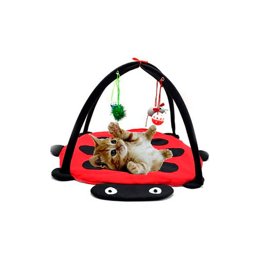 Cama Para Gato Con Accesorios | Accesorios | Medicamentos pet