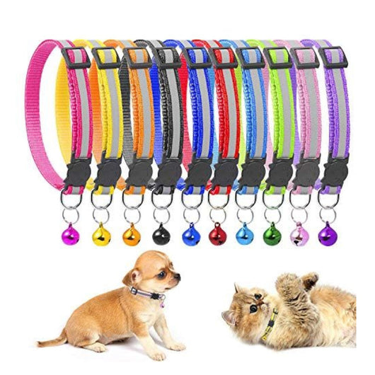 Collar Colores Reflectivos X Unidad | Accesorios | Medicamentos pet