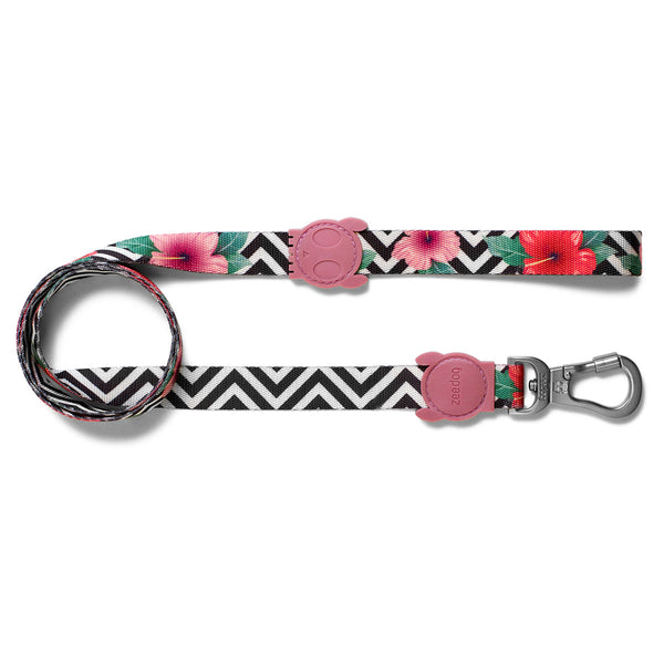 Correa Para Perro Zeedog Mahalo Leash | Medicamentos Pet