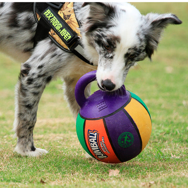Pelota Jumball Basket S | Accesorios | Medicamentos pet
