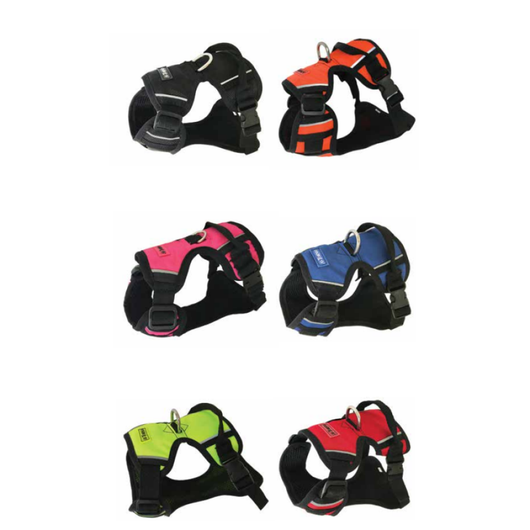 Arnes Para Perro Al Torno XS | Accesorios | Medicamentos pet