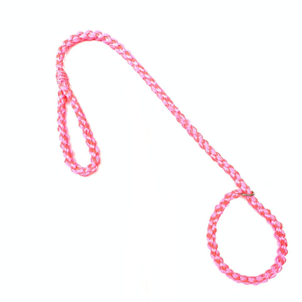 Correa Para Perro Al Torno Piola De Ahogo Surtido | Accesorios | Medicamentos pet