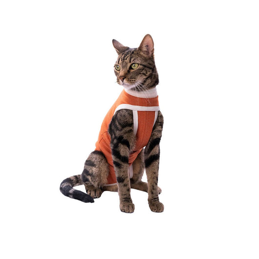 Faja Posquirurgico Para Mascotas Mini | Accesorios | Medicamentos pet