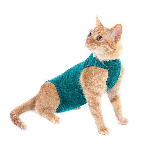 Faja Posquirurgico Para Mascotas XXS | Accesorios | Medicamentos pet