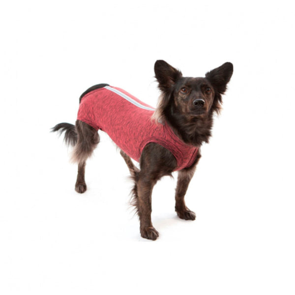 Faja Posquirurgico Para Mascotas XS | Accesorios | Medicamentos pet