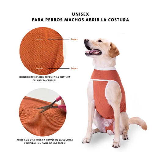 Faja Posquirurgico Para Mascotas XXXL | Accesorios | Medicamentos pet