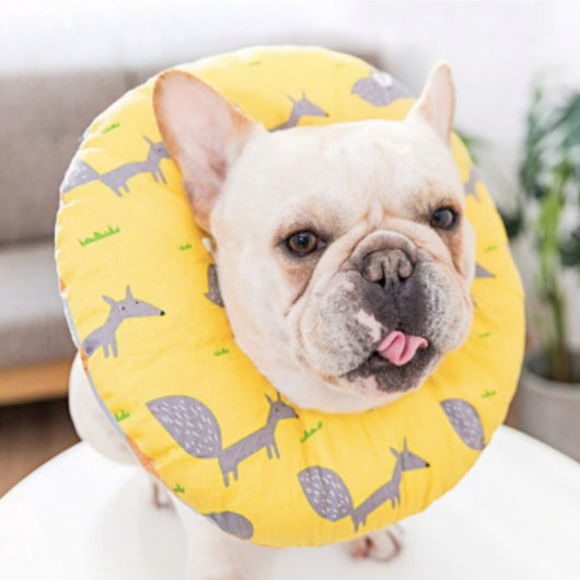 Collar Isabelino Para Perro y Gato Talla M | Accesorios | Medicamentos pet