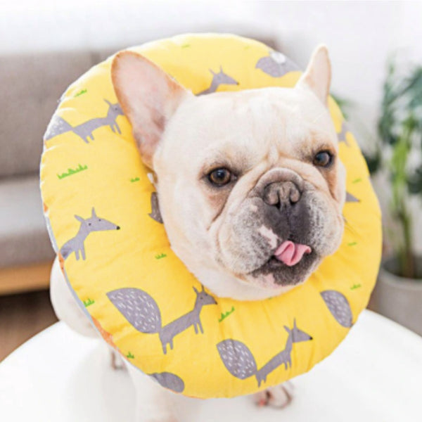 Collar Isabelino Para Perro y Gato Talla M | Accesorios | Medicamentos pet