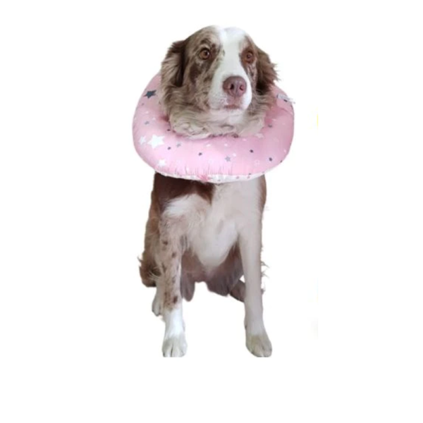 Collar Isabelino Para Perro Talla L | Accesorios | Medicamentos pet