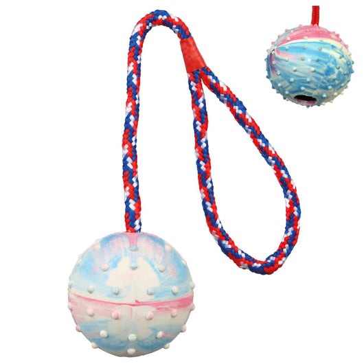 Pelota Dura con Cuerda PA6533 | Accesorios | Medicamentos pet