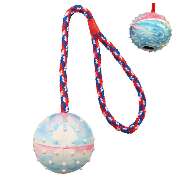 Pelota Dura con Cuerda PA6533 | Accesorios | Medicamentos pet