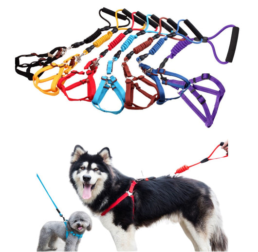 Arnés En H Con Correa Para Perro L | Accesorios | Medicamentos pet