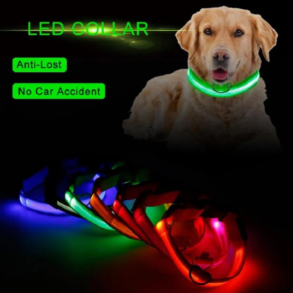 Collar Luz Led Talla M | Accesorios | Medicamentos pet