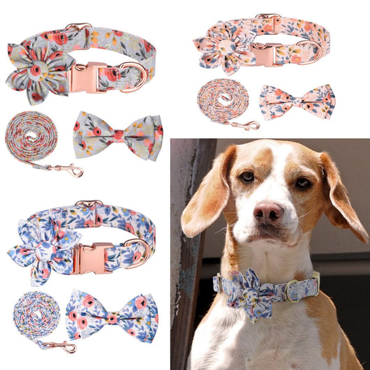Set De Correa y Collar Con Moño o Flor Talla S | Accesorios | Medicamentos pet