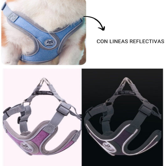 Pechera Con Correa Para Perro Azul Reflectiva | Accesorios | Medicamentos pet