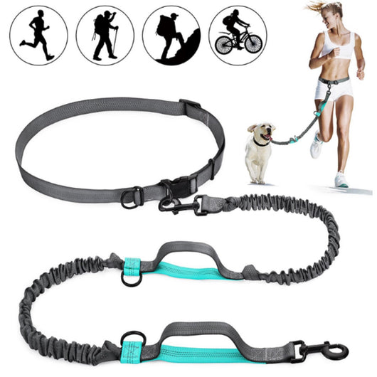 Correa Mano Libre Flexible | Accesorios | Medicamentos pet