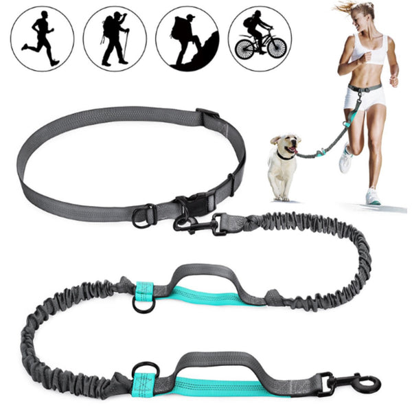 Correa Mano Libre Flexible | Accesorios | Medicamentos pet