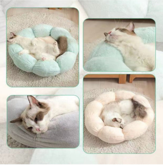 Cama Para Mascotas Dulce Flor Azul,Gris,Beige | Accesorios | Medicamentos pet