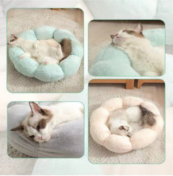 Cama Para Mascotas Dulce Flor Azul,Gris,Beige | Accesorios | Medicamentos pet
