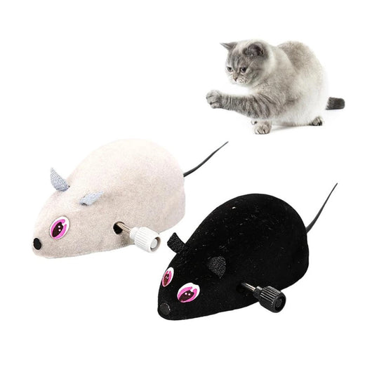 Raton De Cuerda Para Gato 2x1 | Accesorios | Medicamentos pet