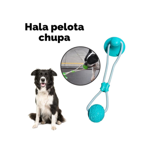 Lazo Para Perro Campana Con Pelota | Accesorios | Medicamentos pet