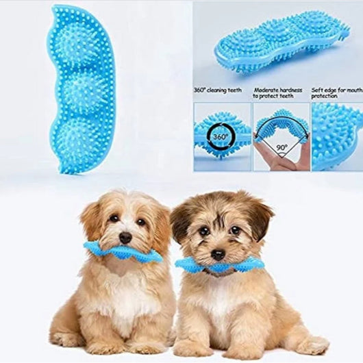 Rasca Encías Para Perro En Barco | Accesorios | Medicamentos pet