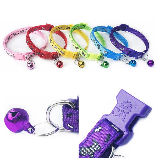 Collar Para Perro y Gato 1 cm | Accesorios | Medicamentos pet