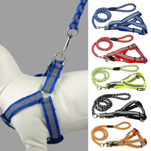 Correa Con Pechera Para Perro Grande | Accesorios | Medicamentos pet