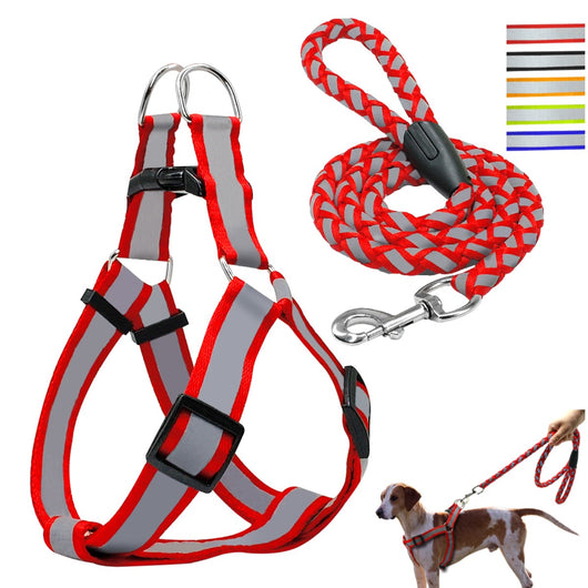 Correa Con Pechera Para Perro Razas Pequeñas y Grandes | Accesorios | Medicamentos pet