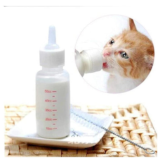 Kit de Tetero Pequeño | Accesorios | Medicamentos pet