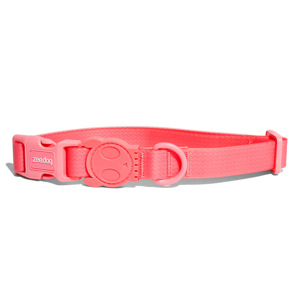 Collar Zeedog para Perro Neopro Bubblegum S | Medicamentos Pet