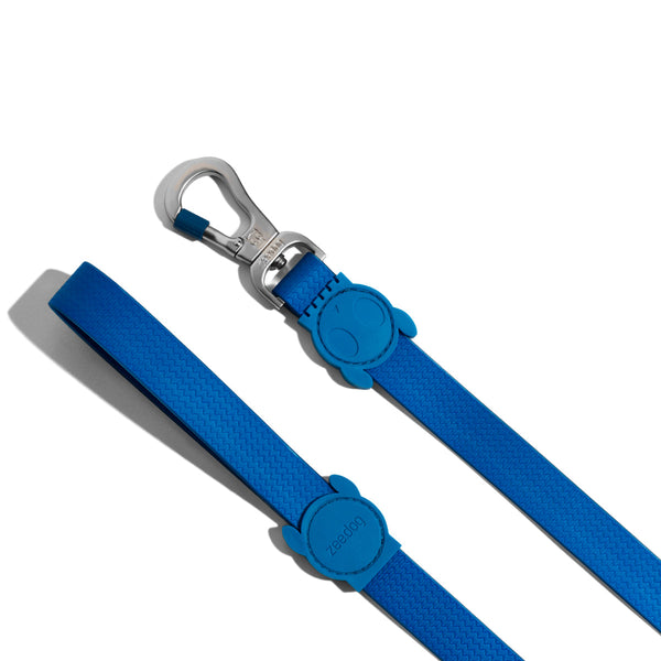 Correa Zeedog para Perro Neopro Blue L | Medicamentos Pet