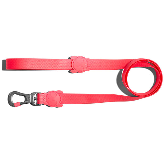 Correa Zeedog para Perro Neopro Bubblegum L | Medicamentos Pet