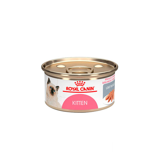 Alimento Para Gato Royal Canin Kitten Loaf In Souce  |Medicamentos pet