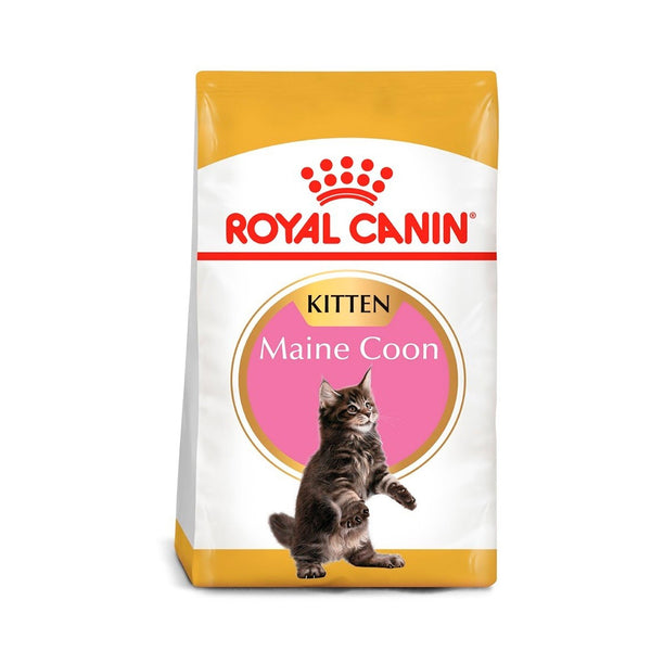 Alimento Para Gato  Royal Canin Maine Coon Kitten  |Medicamentos pet