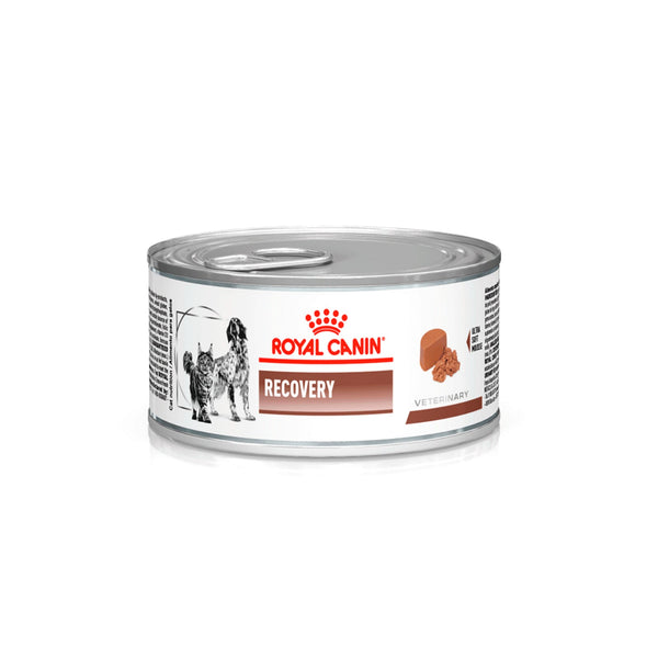 Alimento Húmedo Para Perro Royal Canin Recovery para perro y gato  |Medicamentos pet