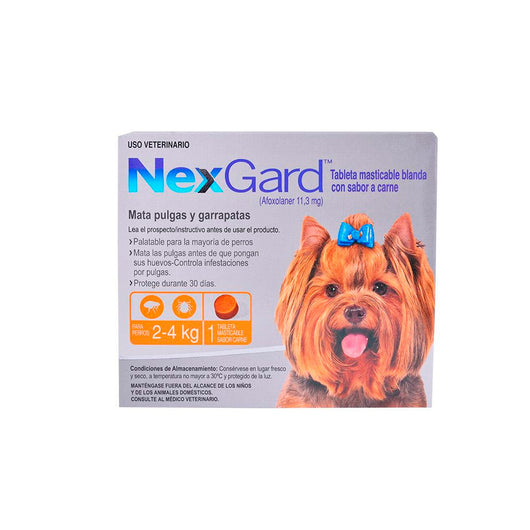 Antiparasitario Perro  Nexgard Para Perros S De  2 A 4 Kilos|Medicamentos perros y gatos|Medicamentos pet