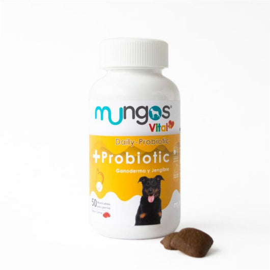 Suplemento Perro Mungos Vital Probiotico|Medicamentos perros y gatos|Medicamentos pet